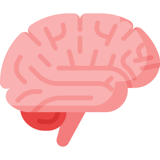 Brain Health