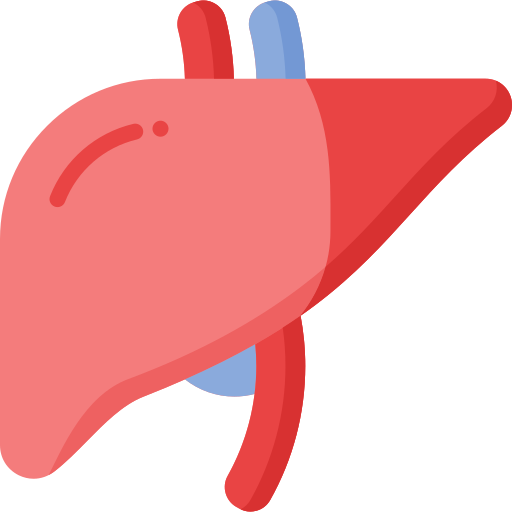 Liver Health